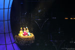 IMG_3246a
