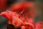 IMG_9744a