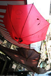 IMG_0058a