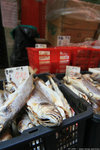 IMG_0077a