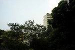 IMG_4971_raw1