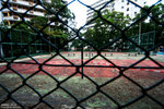 IMG_5036a