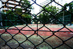 IMG_5037a