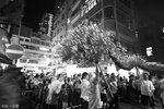 IMG_0401a