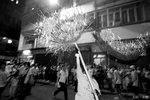 IMG_0424a