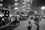 IMG_0577a