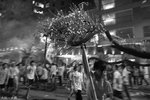 IMG_0636a