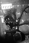 IMG_0694a