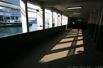 IMG_2927a