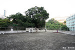 IMG_1950a