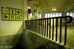 IMG_9179a