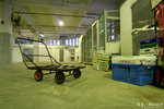 IMG_9196a