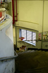 IMG_9222a