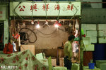 IMG_9231a