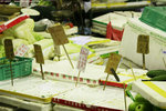 IMG_9232a
