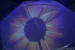 IMG_8279a