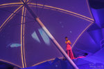 IMG_8461a