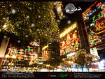 xmas09005