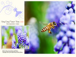 flower2010_007