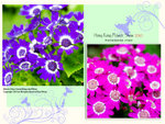flower2010_017