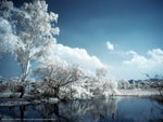 CRW_0005