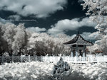 CRW_0019