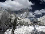 CRW_0022