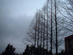sh2