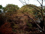 sh3
