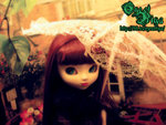 �^�ꪺ���B���h~�ܮ���