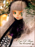 remon_05xmas11
