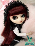 baby_rabbit4