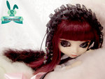 baby_rabbit5