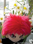 hanawith_hide1