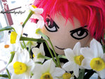 hanawith_hide3