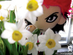 hanawith_hide4