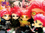 hide_riyadi3