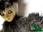 redhat_wolf3