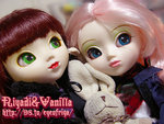 Riyadi�s�骺�t�@�bVanilla