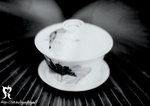 cup1