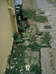 hill_road5