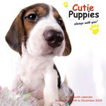 Cutie Puppies - Front