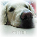 Water Waiting