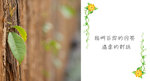 29-5-2008 copy