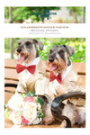 Wedding Apparel_2