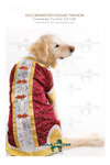 Chinese Cloth 2010B_1