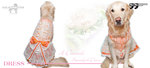 A Damsel beautiful dress B 