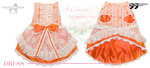 A Damsel beautiful dress B_2