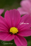 D09_0239