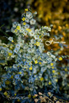 D09_0249